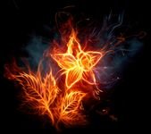 pic for fire star  